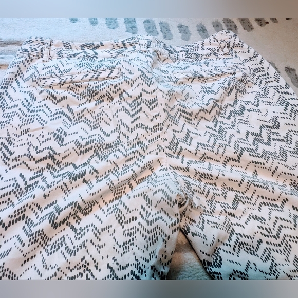 Gap Black and White Zig Zag Dotted Pattern skinny khakis - ankle Pants - Size 10 - Picture 5 of 5